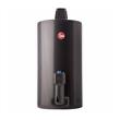 Termotanque Rheem-Nl TGNC080RH 80 Litros A Gas Inferior