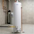 Termotanque Escorial ESC-120L 120 Litros A Gas Superior